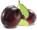 Obstbäume bieten