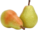 Obstbäume bieten