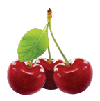 Obstbäume bieten